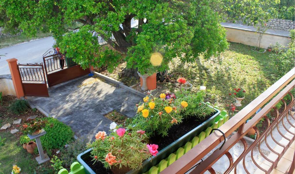 Apartmani Volga Petrcane Exterior photo